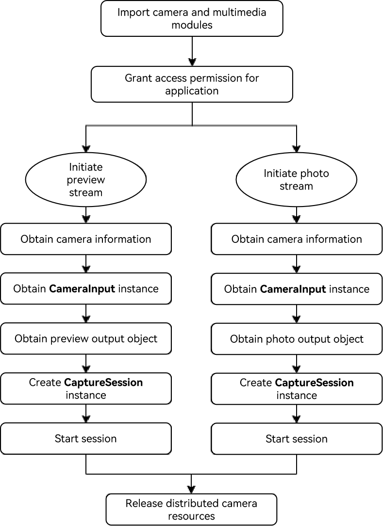 Camera Distrubuted processing