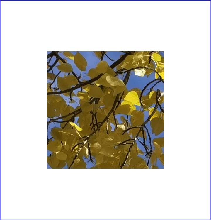 cropping