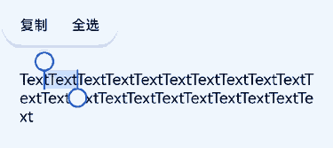 textTextSelectableMode