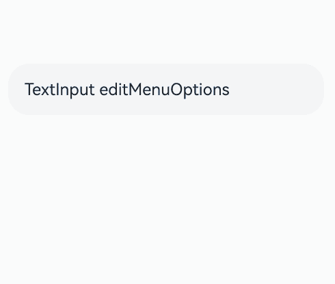 textInputEditMenuOptions