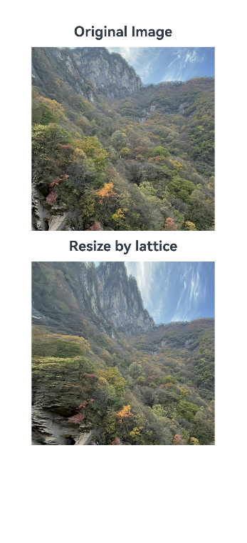 imageResizableLattice