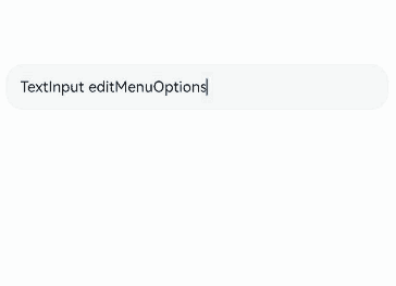 textInputEditMenuOptions
