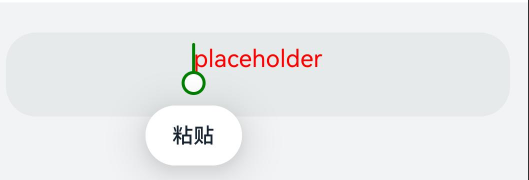 textCustomPaste