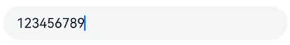 text_input_type_number
