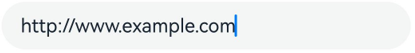 text_input_type_url
