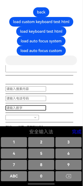web-customkeyboardnumber