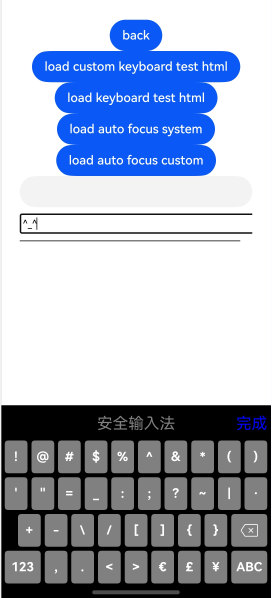 web-customkeyboardsymbol