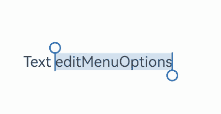 textEditMenuOptions