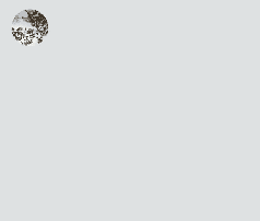 en-us_image_0000001599644877