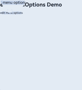 emptyEditMenuOption