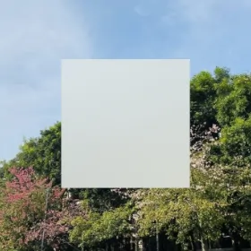 componentthick