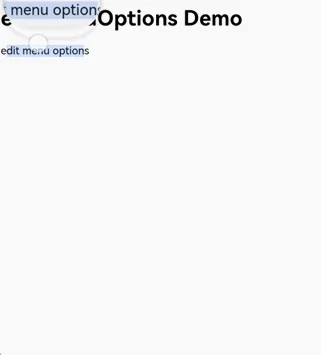 emptyEditMenuOption