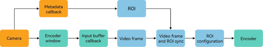 ROI configuration process via the encoding input parameter callback API