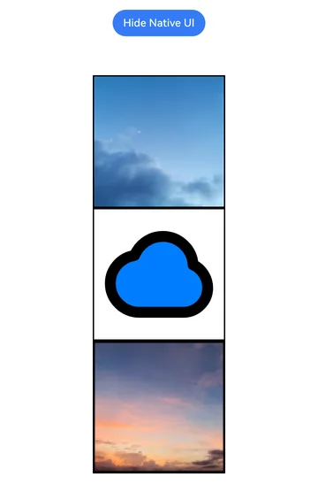 capiImageExmaple