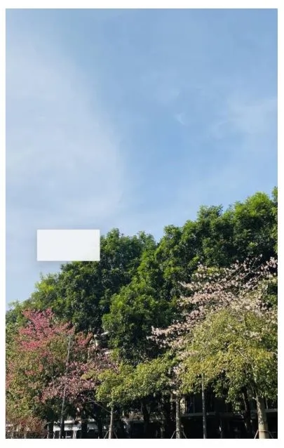 systemMaterial