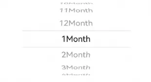 containerPicker