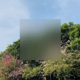 backgroundthin